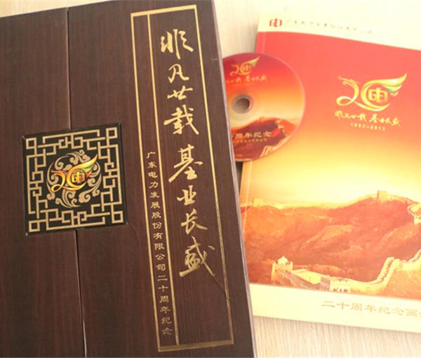 广东电力发展股份有限公司