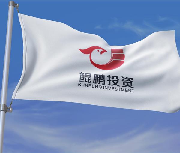 鲲鹏投资LOGO/VI设计